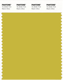 PANTONE® USA | Pantone 15-0646 TCX Warm Olive