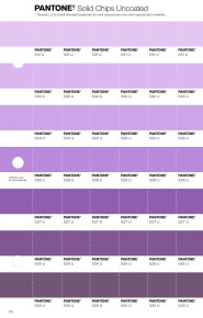 PANTONE® USA | Pantone 529 U