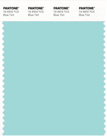 PANTONE® USA | Pantone 13-4910 TCX Blue Tint