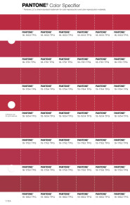 はなさん専用 マジックボール M PANTONE PANTONE® EU | Pantone 19-1862 TPG Jester Red