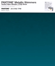 PANTONE® USA | Pantone 20-0162 TPM Black Aqua