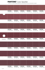 PANTONE® USA | Pantone 19-1522 TPG Zinfandel