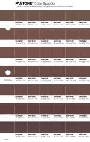 PANTONE® USA | Pantone 19-1317 TPG Bitter Chocolate