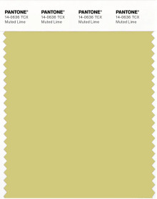 PANTONE® APAC | Pantone 14-0636 TCX Muted Lime