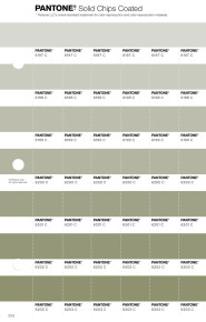 PANTONE® APAC | Pantone 6202 C