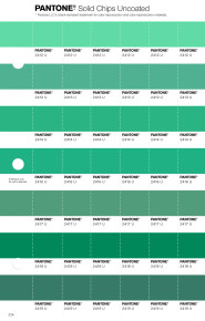 PANTONE® USA | Pantone 2419 U