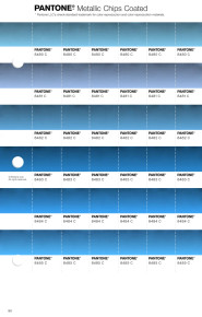 PANTONE® USA | Pantone 8480 C