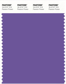 PANTONE® USA | Pantone 18-3737 TCX Passion Flower