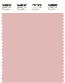 PANTONE® APAC | Pantone 14-1907 TCX Peachskin