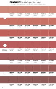 PANTONE® USA | Pantone 7622 U