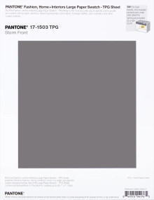 PANTONE® APAC | Pantone 17-1503 TPG Storm Front