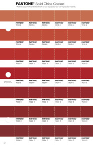 PANTONE® USA | Pantone 7621 C