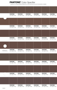 PANTONE® APAC | Pantone 19-1432 TPG Chocolate Fondant