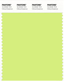 PANTONE® USA | Pantone 12-0549 TCX Citrus Essence