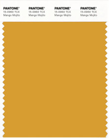 PANTONE® APAC | Pantone 15-0960 TCX Mango Mojito