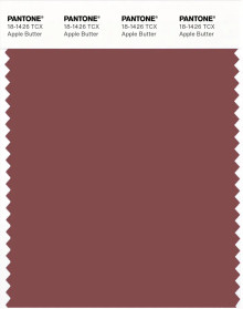ya♥1 PANTONE® USA | Pantone 18-1426 TCX Apple Butter