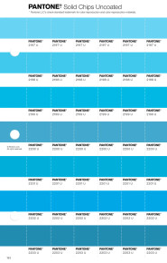 PANTONE® USA | Pantone 2199 U