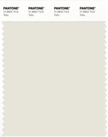 PANTONE® APAC | Pantone 11-4801 TCX Tofu