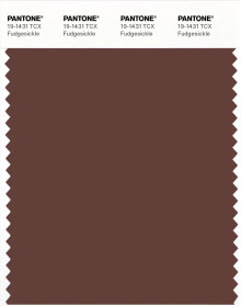 PANTONE® APAC | Pantone 19-1431 TCX Fudgesickle