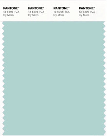 PANTONE® EU | Pantone 13-5306 TCX Icy Morn