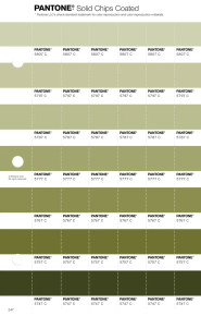 PANTONE® APAC | Pantone 5767 C