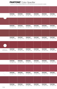 PANTONE® APAC | Pantone 19-1840 TPG Deep Claret