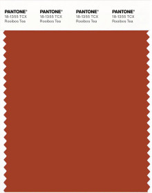 PANTONE® APAC | Pantone 18-1355 TCX Rooibos Tea