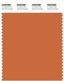 PANTONE® USA | Pantone 17-1353 TCX Apricot Orange