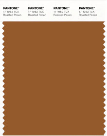 PANTONE® APAC | Pantone 17-1052 TCX Roasted Pecan