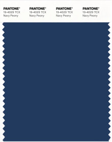 PANTONE® EU | Pantone 19-4029 TCX Navy Peony