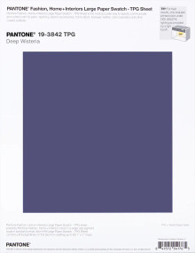 PANTONE® USA | Pantone 19-3842 TPG Deep Wisteria