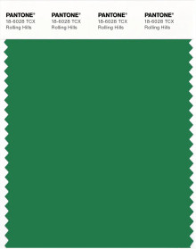 PANTONE® APAC | Pantone 18-6028 TCX Rolling Hills