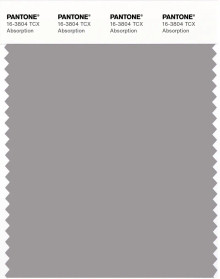 PANTONE® USA | Pantone 16-3804 TCX Absorption