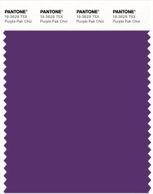 PANTONE® APAC | Pantone 19-3629 TSX Purple Pak Choi