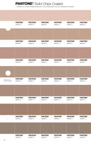 パントーン PANTONE カラーチップ PANTONE® APAC | Pantone 4046 C