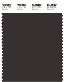 PANTONE® USA | Pantone 19-1103 TCX Espresso