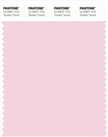 y♪様 PANTONE® USA | Pantone 12-2807 TCX Tender Touch