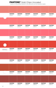 PANTONE® USA | Pantone 2349 U