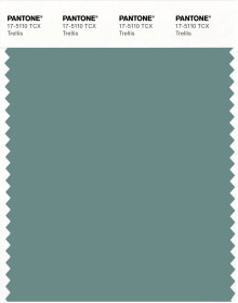 その他 PANTONE uncoated,coated&224new colors PANTONE® APAC | Pantone 17-5110 TCX Trellis