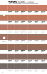 PANTONE® USA | Pantone 7588 U