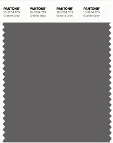 使いやすい PANTONE® APAC | Pantone 18-5204 TCX Granite Gray