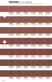 Sameページ PANTONE® USA | Pantone 19-1242 TPG Cambridge Brown