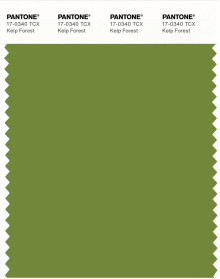 PANTONE® USA | Pantone 17-0340 TCX Kelp Forest