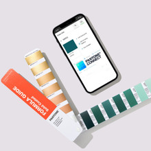 色サンプルPANTONE FORMULAGUIDE / solid coated PANTONE® UK | Pantone 339 C