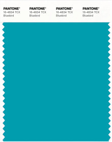 PANTONE® APAC | Pantone 16-4834 TCX Bluebird
