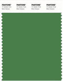 PANTONE® USA | Pantone 17-6333 TCX Mint Green