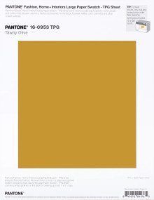 PANTONE® APAC | Pantone 16-0953 TPG Tawny Olive