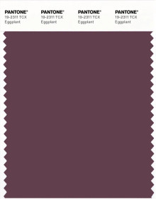 PANTONE® USA | Pantone 19-2311 TCX Eggplant
