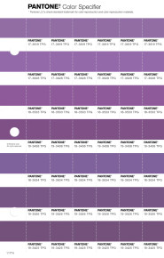 PANTONE® APAC | Pantone 17-3619 TPG Hyacinth
