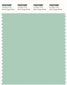 PANTONE® APAC | Pantone 13-5911 TCX Bird's Egg Green